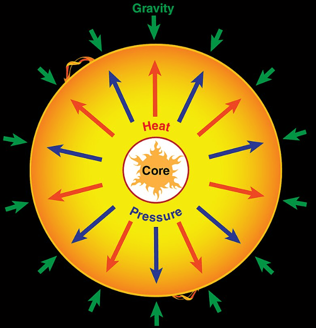 5-5-1a main sequence star balance of forces.png