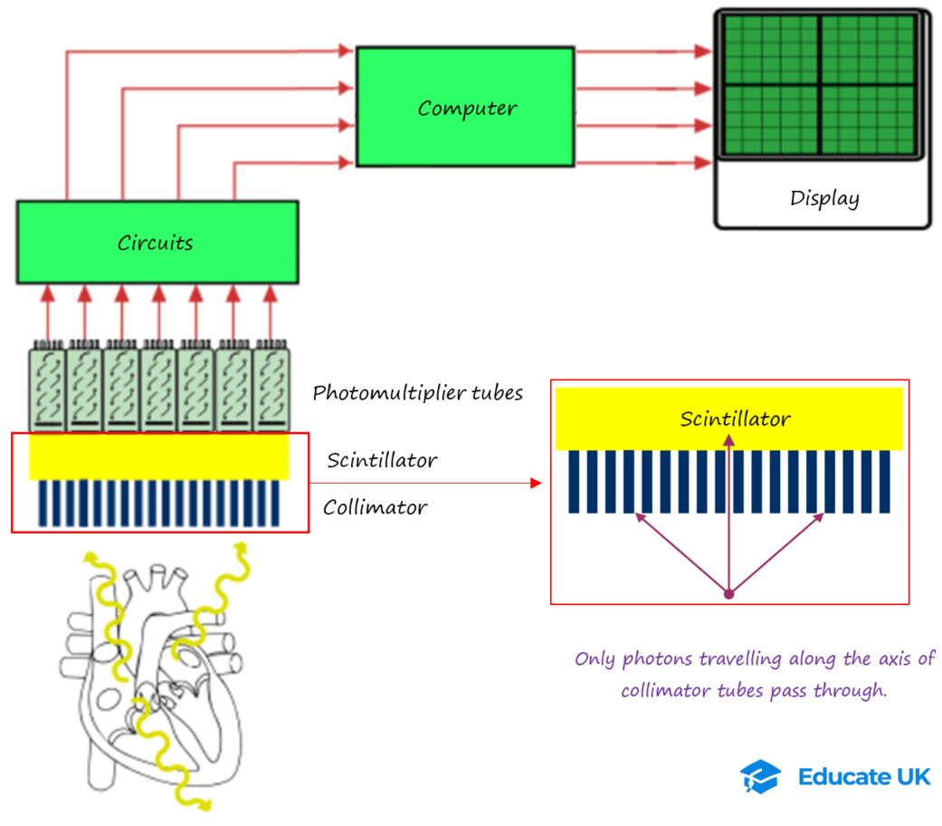 6-5-2c- Gamma camera diagram.png
