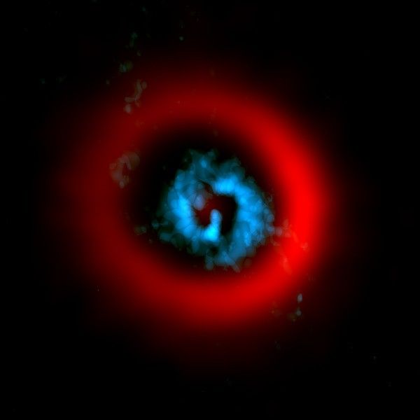 9-2-5b protostar at centre, circumstellar disc around it.jpg
