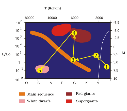 9-2-5d Evolution of a star on Hertzsprung-Russell diagram.png